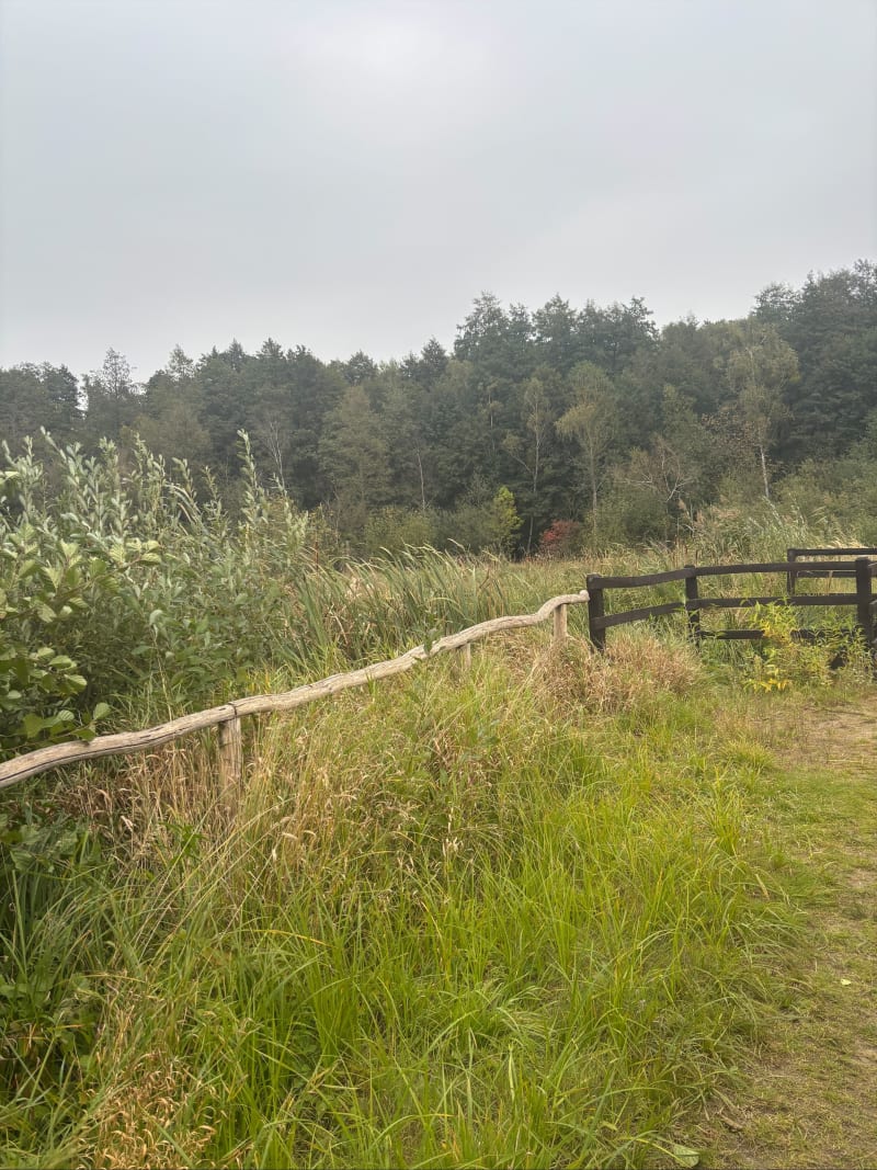 Doliną Samy - Rumianek