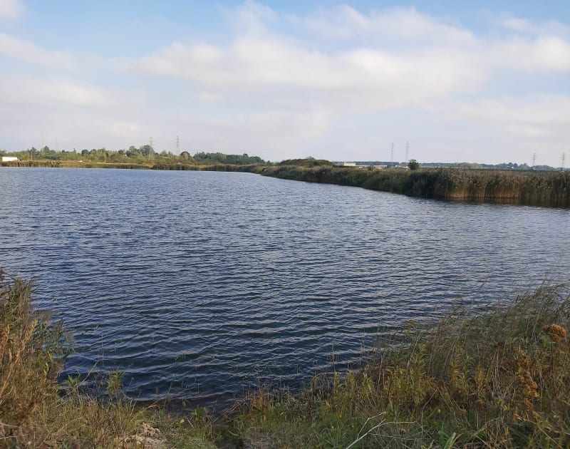 Lipie - Lotnisko - Rzeszów