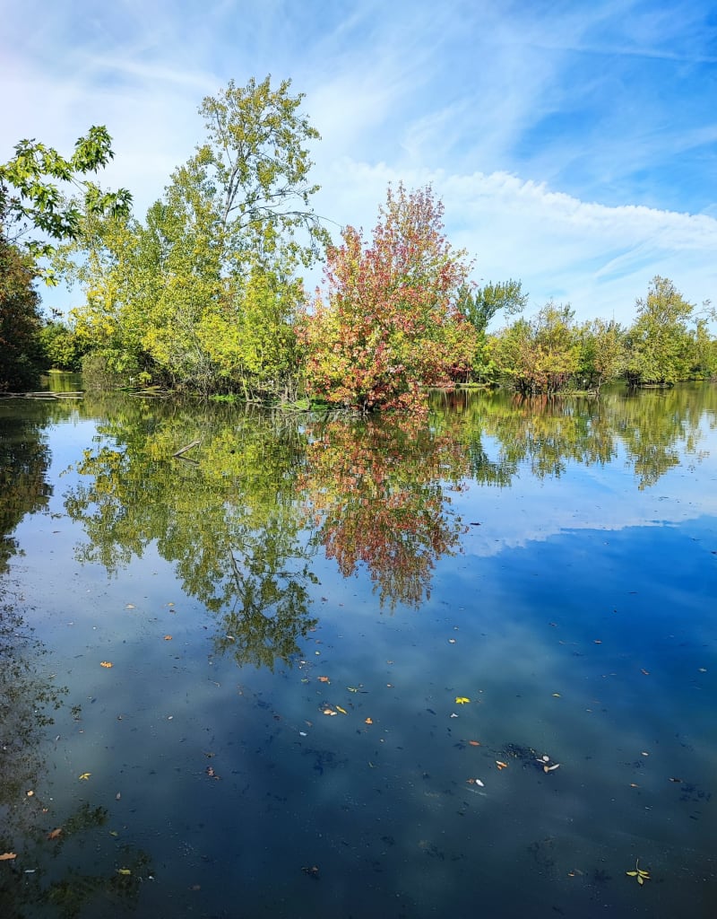 Boucle à partir du Parc Balzac - Angers