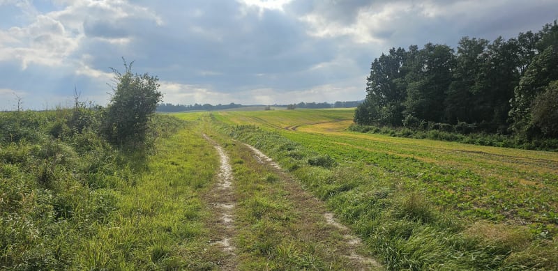 Trasa 64 km - Sępopol
