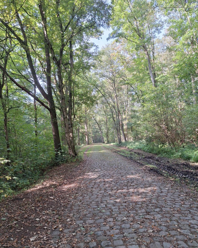 Kris kras door Provinciaal Domein Palingbeek - Ieper
