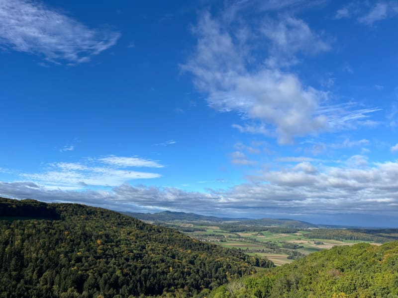 Boucle château du Landskron , Mariastein - Leymen