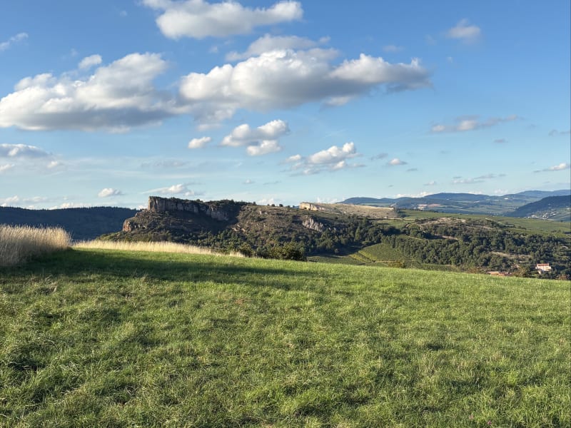 Entre Mont de Pouilly et la Roche de Solutré - Solutré-Pouilly
