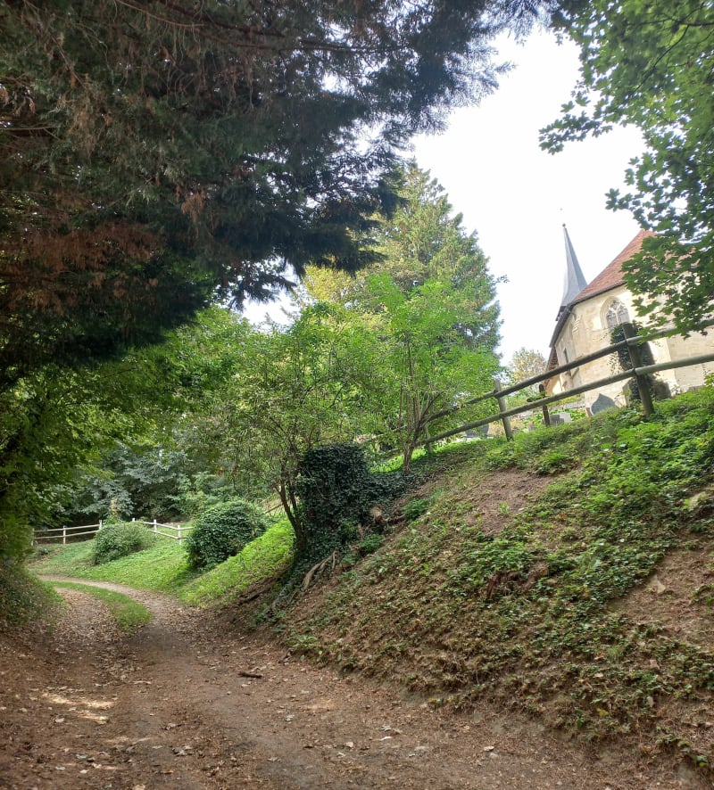 Balade entre Auquaiville et Cheffreville-Tonnencourt - Livarot-Pays-d'Auge