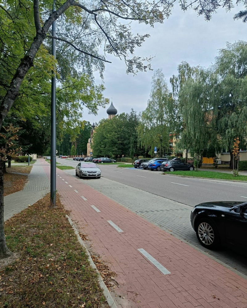 Regeneracyjne 7km w Puszczy Białowieskiej - Hajnówka