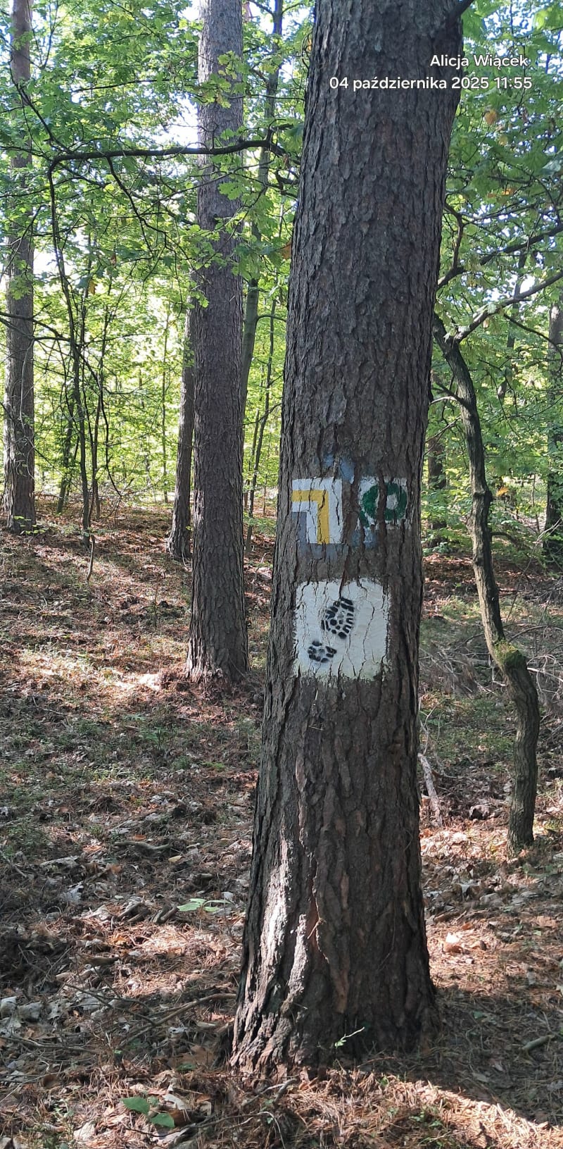 Bukowica rezerwat - Zagórze