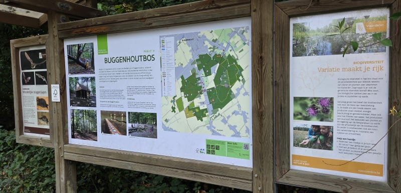 Buitenpaden Buggenhout bos - Buggenhout