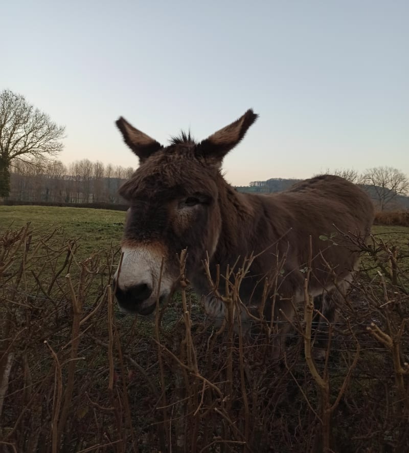 Marest à Pernes et retour à Marest - Marest