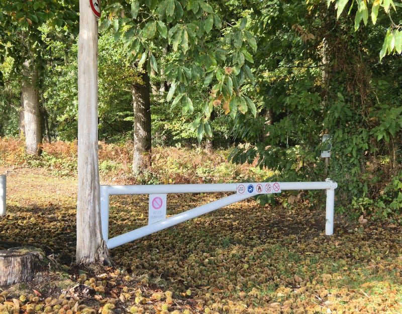 Forêt sans chasse, idéale famille prés de Nassandres - Nassandres sur Risle