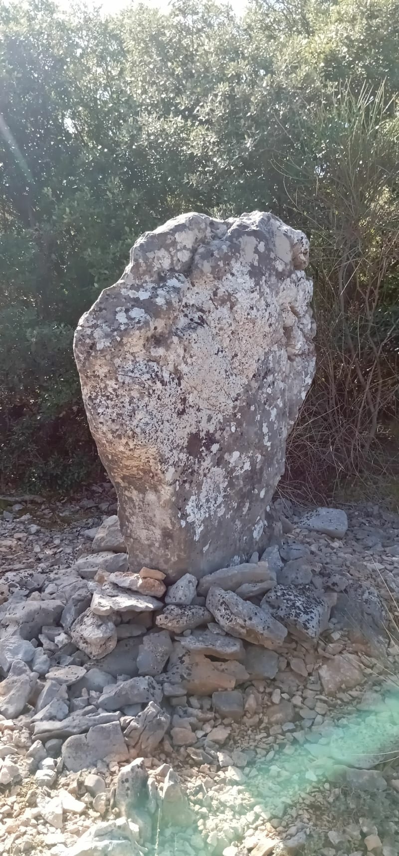 Boucle de Neoules à la barre de Cuers - Néoules