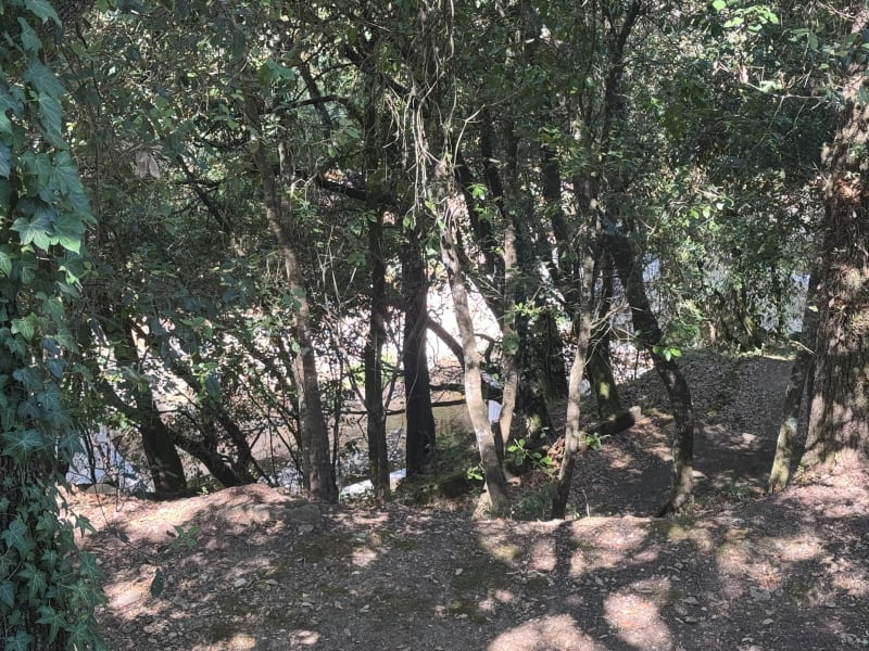 Petite balade par les crêtes à Auribeau-sur-Siagne - Auribeau-sur-Siagne