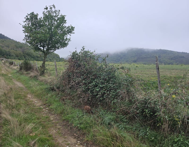 Sur les hauteurs de Caunan - Labruguière