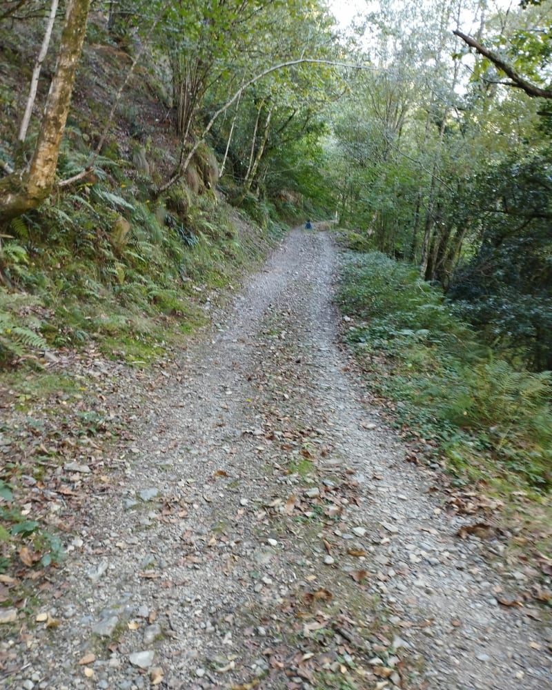 Les crêtes d'iparla - Saint-Étienne-de-Baïgorry
