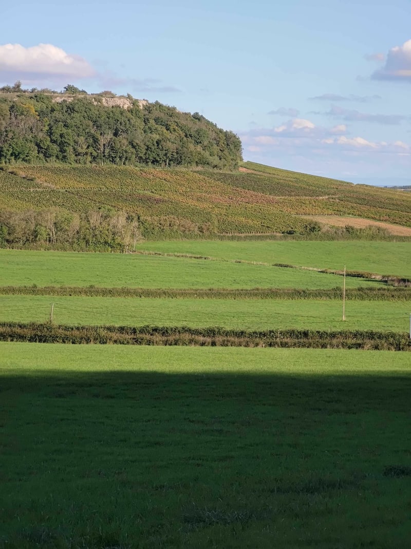 Saint-Mard-de-Vaux et Bois des Igaux - Saint-Mard-de-Vaux