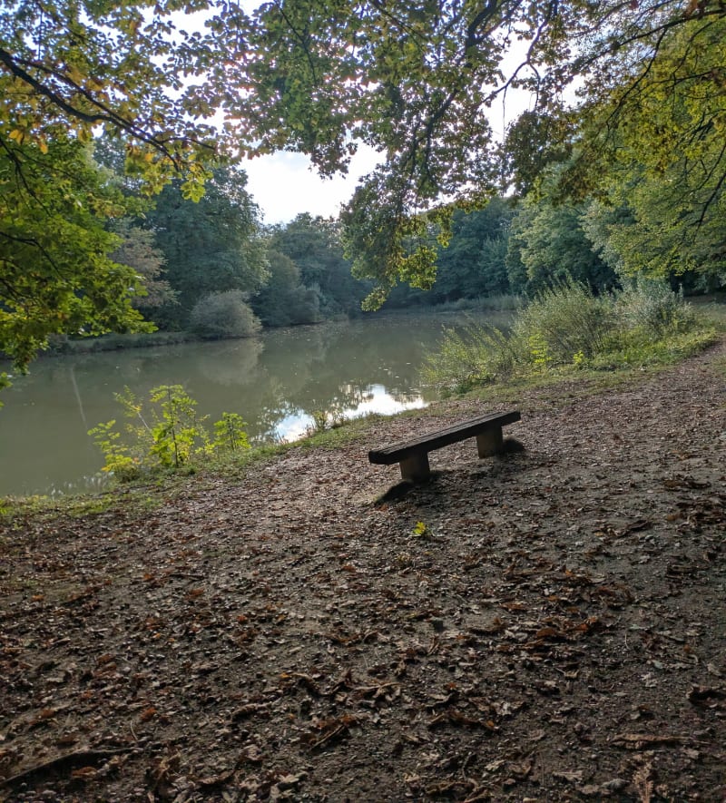 Domaine d'Armainvilliers et forêt - Ozoir-la-Ferrière
