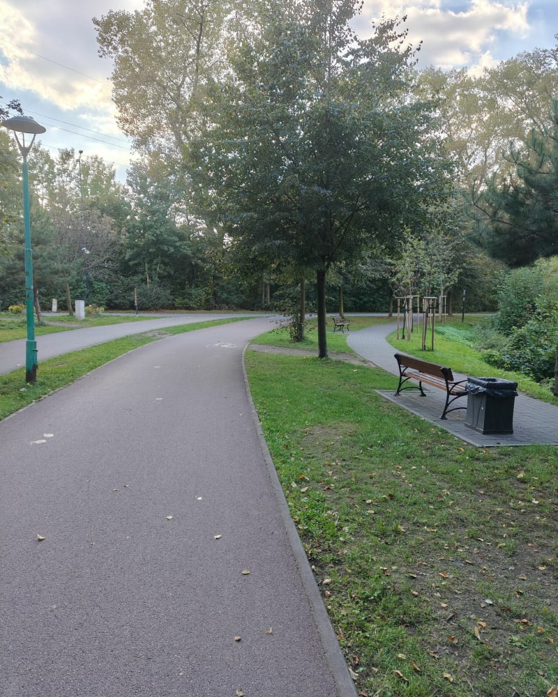 Park Sielecki - Stawiki Sosnowiec - Sosnowiec