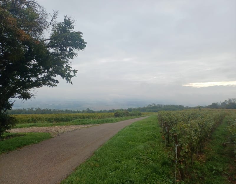 Balade en foret depuis La Salle - La Salle
