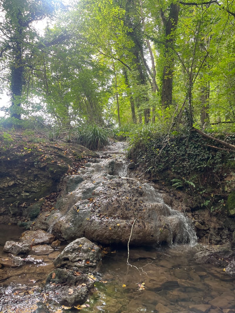 Promenade dans la pleine les bois et le long du Liéton - Mouroux