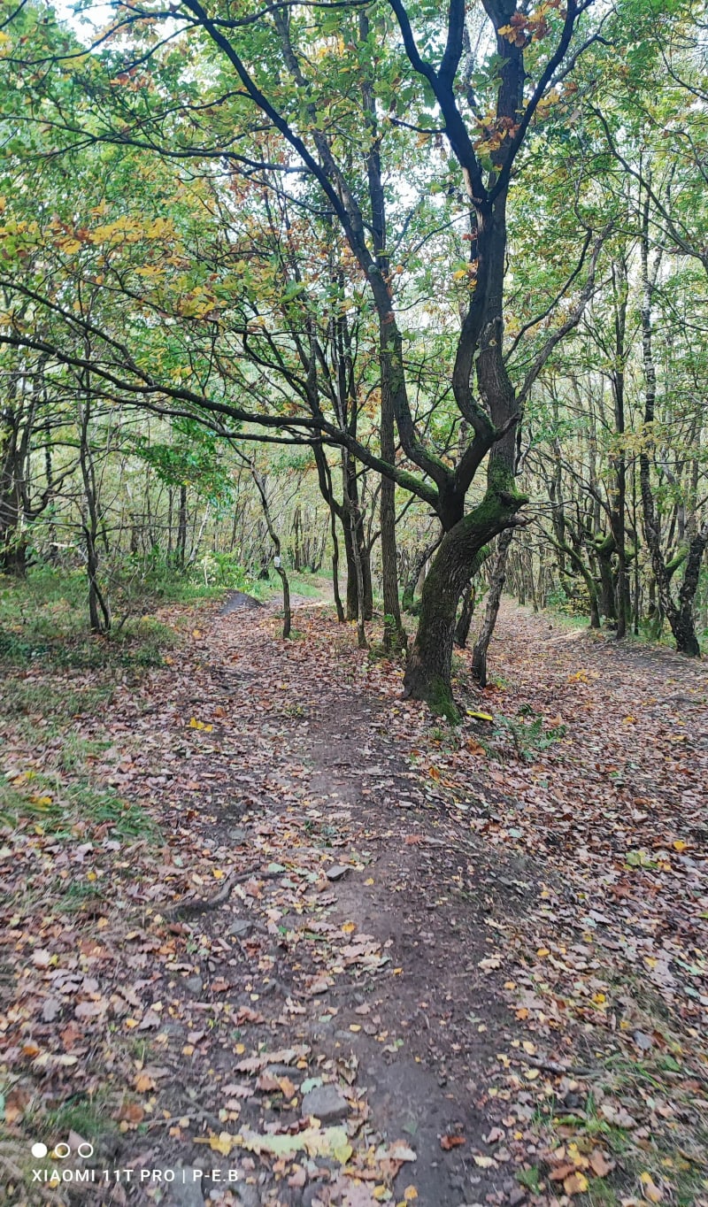 12 km wandeling in Chaudfontaine - Chaudfontaine