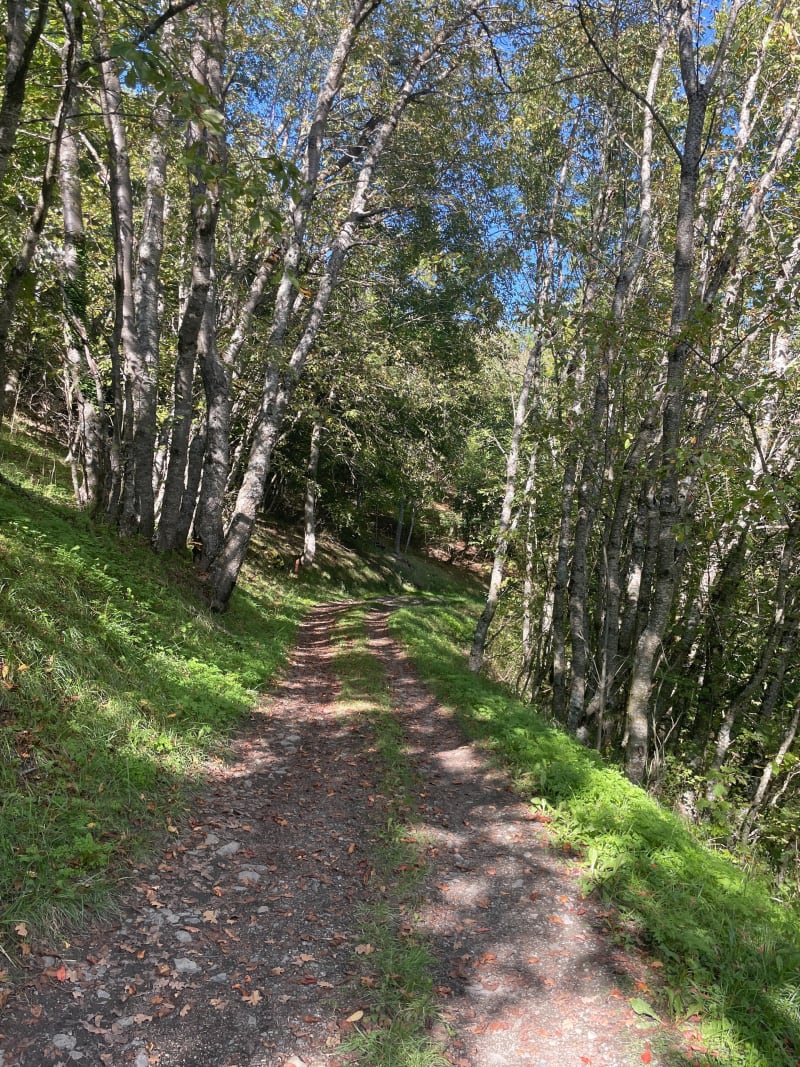 Sentier de la Pomme et la Bergerie - La Plagne Tarentaise