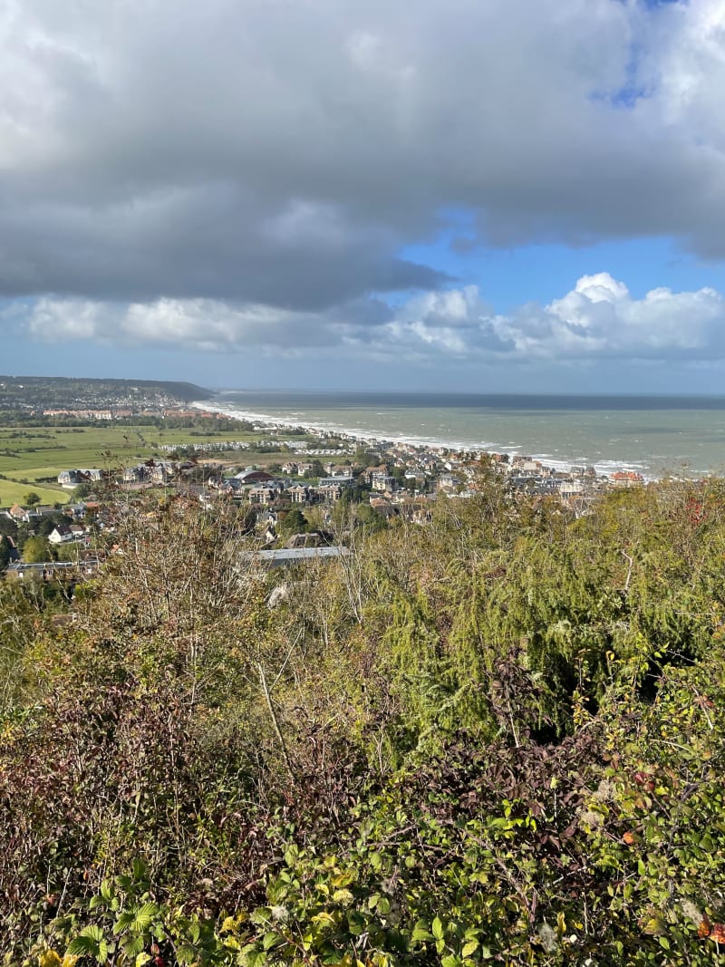 Marais, Mont et Mer…veilles à Villers-sur-Mer - Villers-sur-Mer
