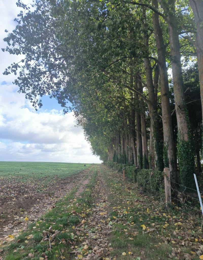 Petite balade tranquille à Bosc-le-Hard - Bosc-le-Hard