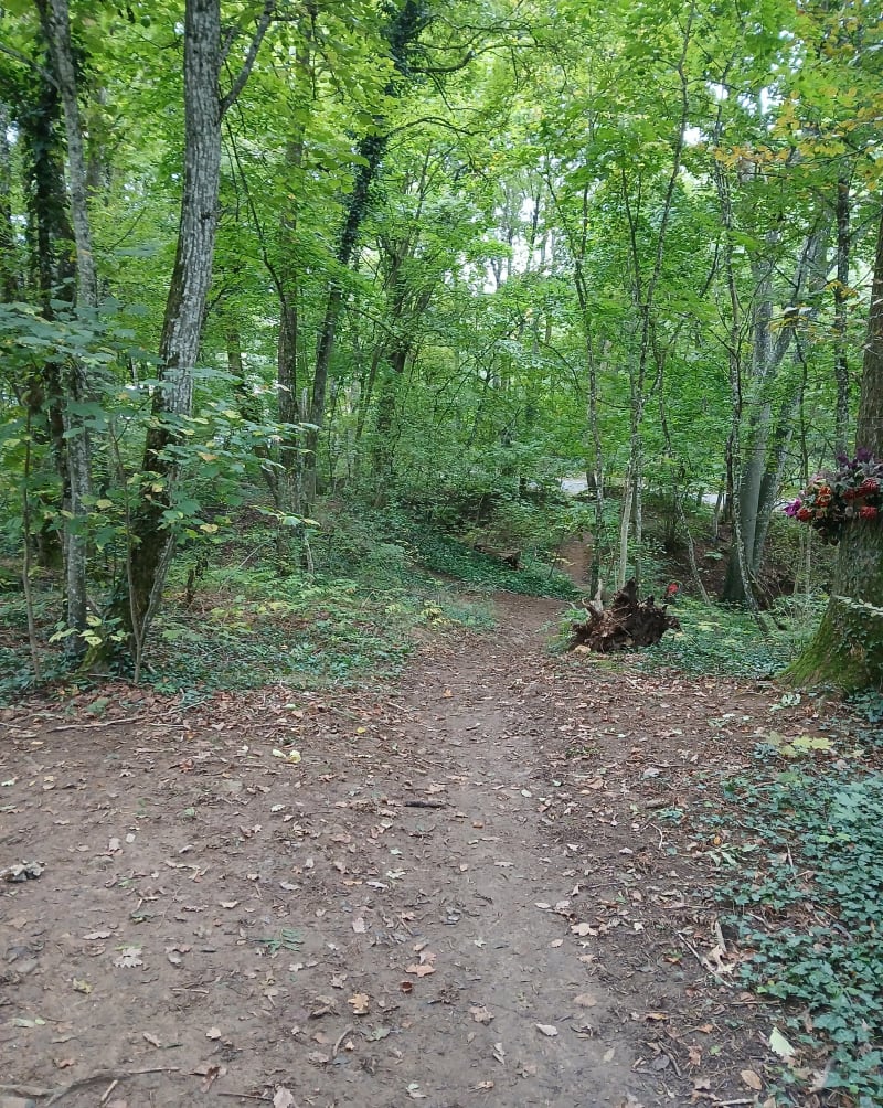 Balade au profil varié plateau Malzéville - Malzéville