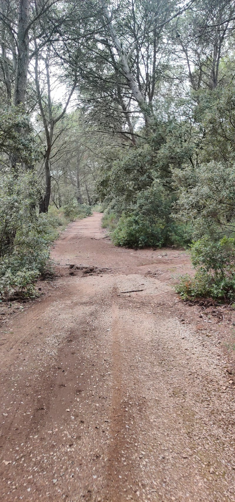 De Plan de Campagne et hauteur Berre l'étang, à vélo - Cabriès