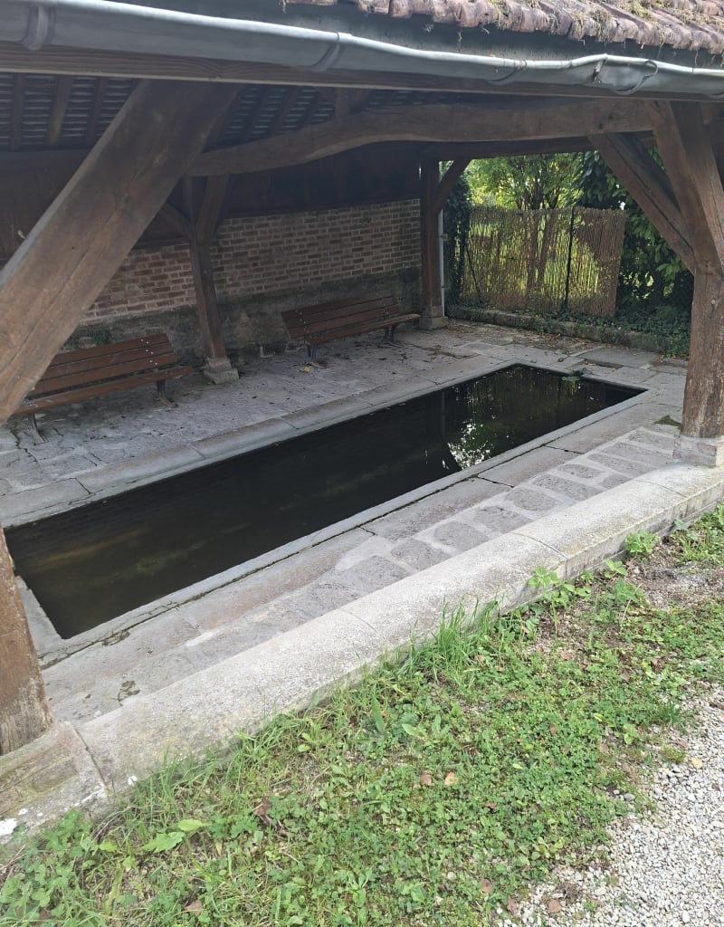 Balade en forêt autour de Clérey - Clérey