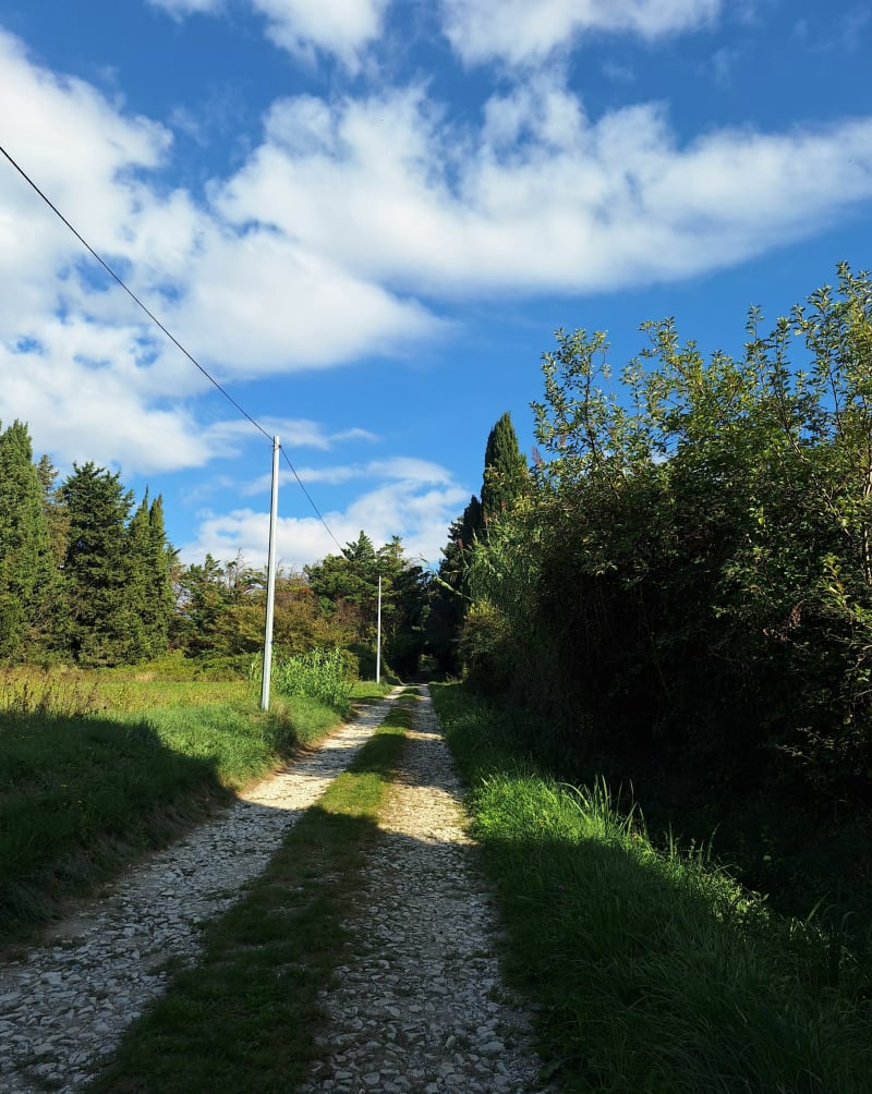 Boucle au canal des Alpines - Châteaurenard