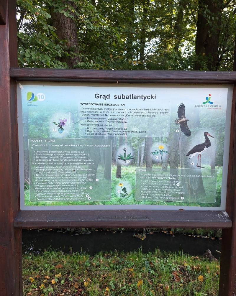 Czechowice-Dziedzice, Bestwina, Kaniów - Czechowice-Dziedzice