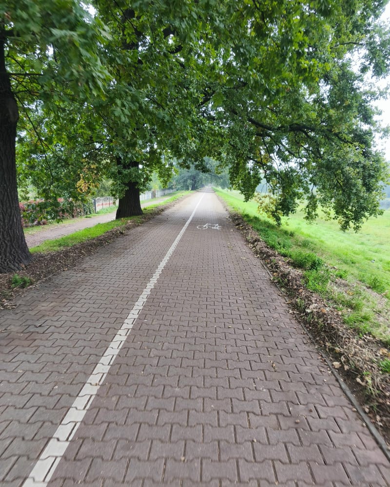 Wzdłuż Wisławy i Odry - Wrocław