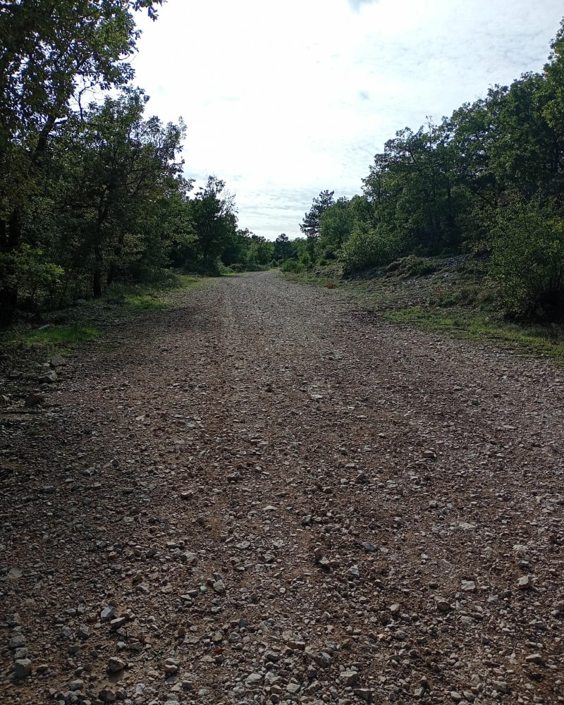 Promenade facile au Boufaou - Vitrolles-en-Luberon