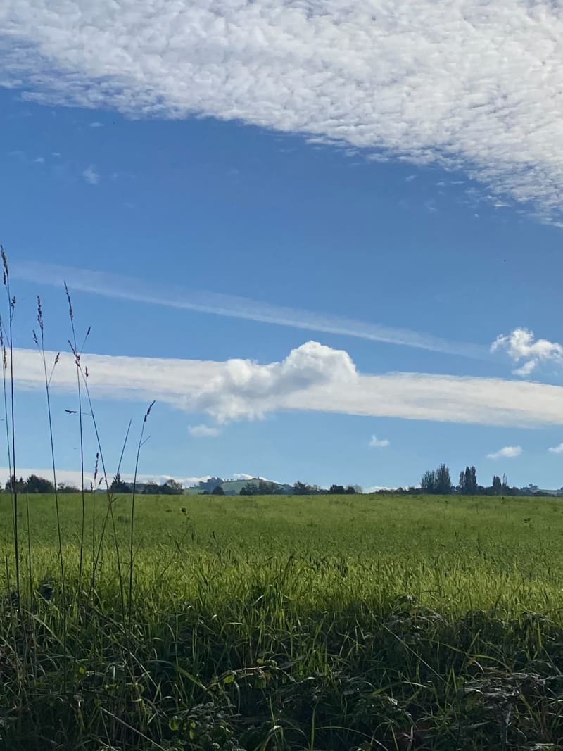 Puy de Merle et Champortat - Billom
