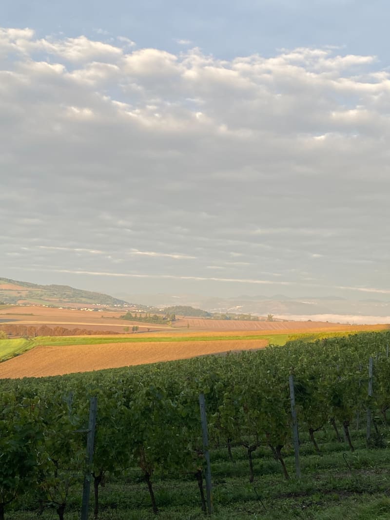 Puy du grand et petit Turluron à Billom - Billom