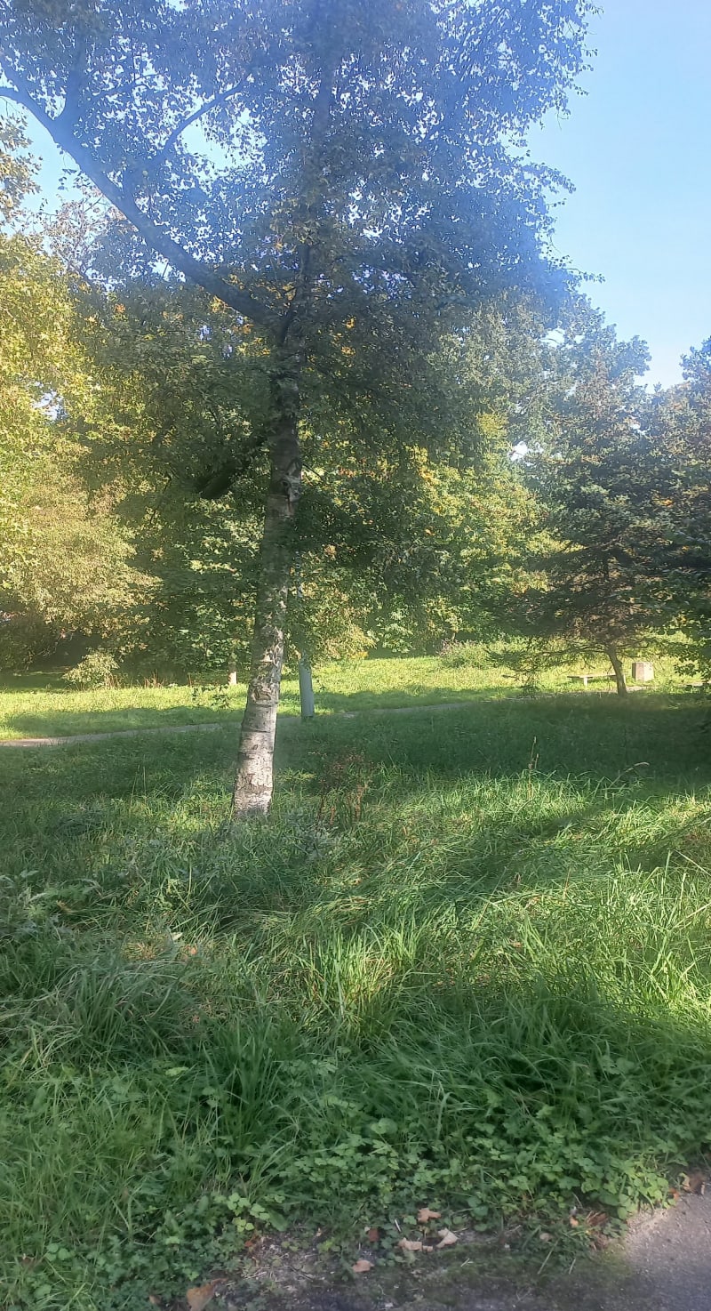 Duża pętla na Aniołkach - Gdańsk