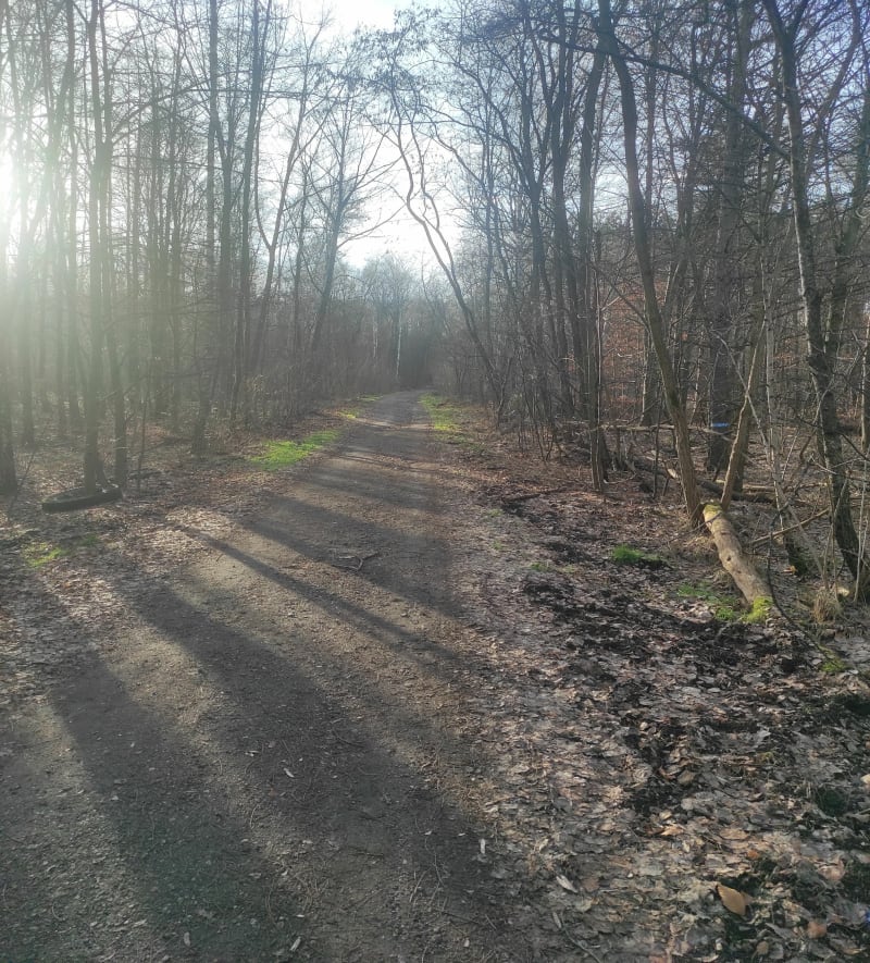 Na dolinę Trzech stawów - Sosnowiec