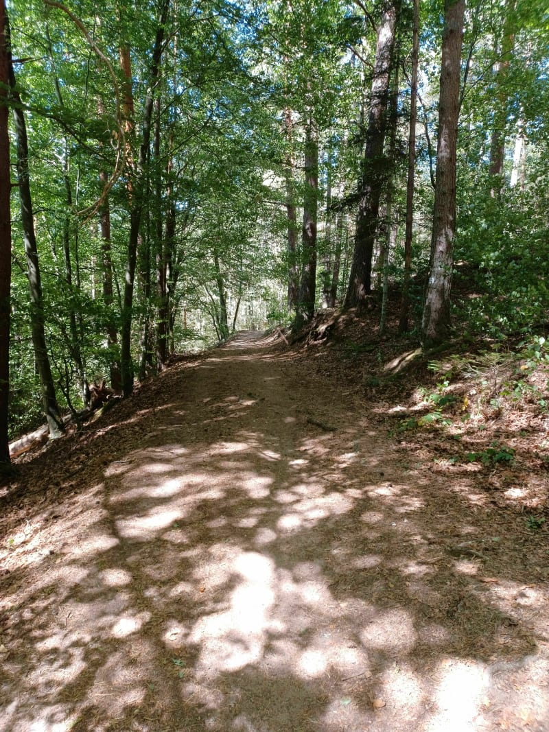 Wandelen in het Kembergmassief - Taintrux