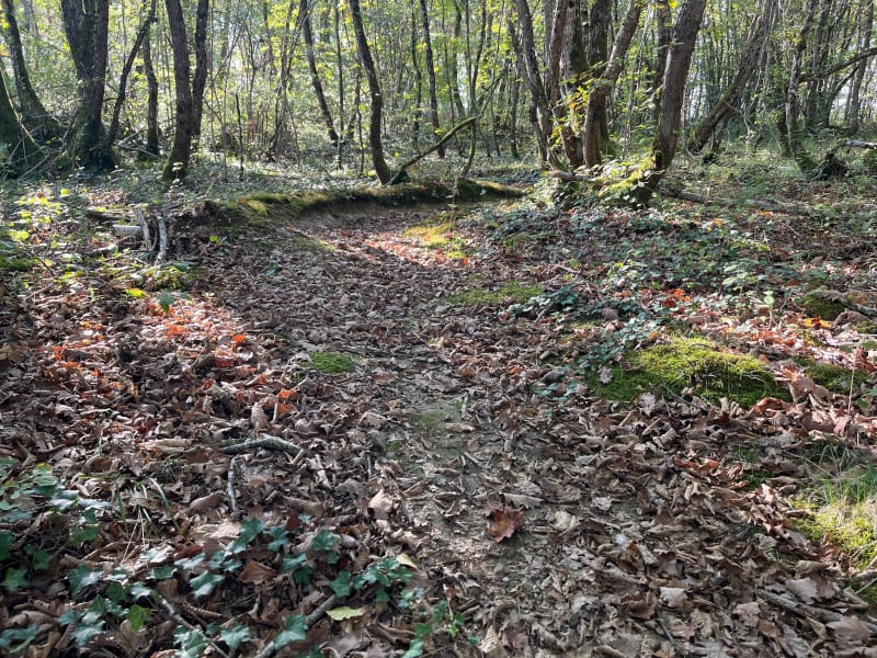 Balade à la Craz - Montalieu-Vercieu