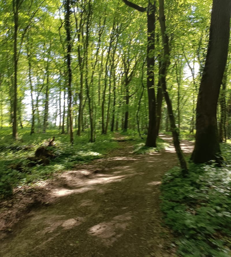 Randonnée à Ponchon - Ponchon