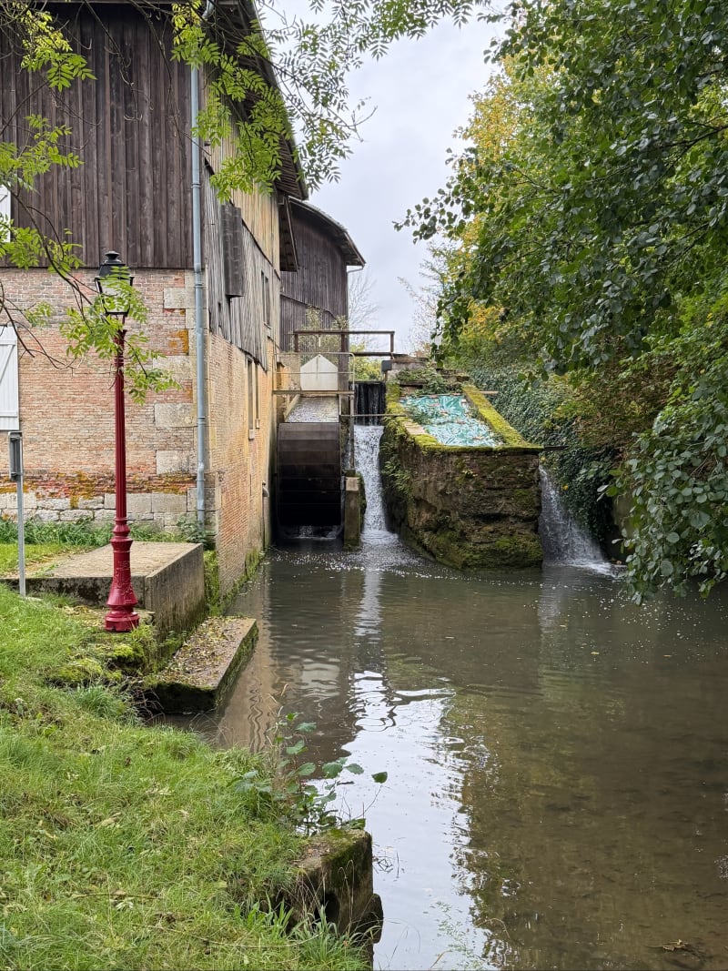 Très agréable demi journée en Argonne - Nicey-sur-Aire