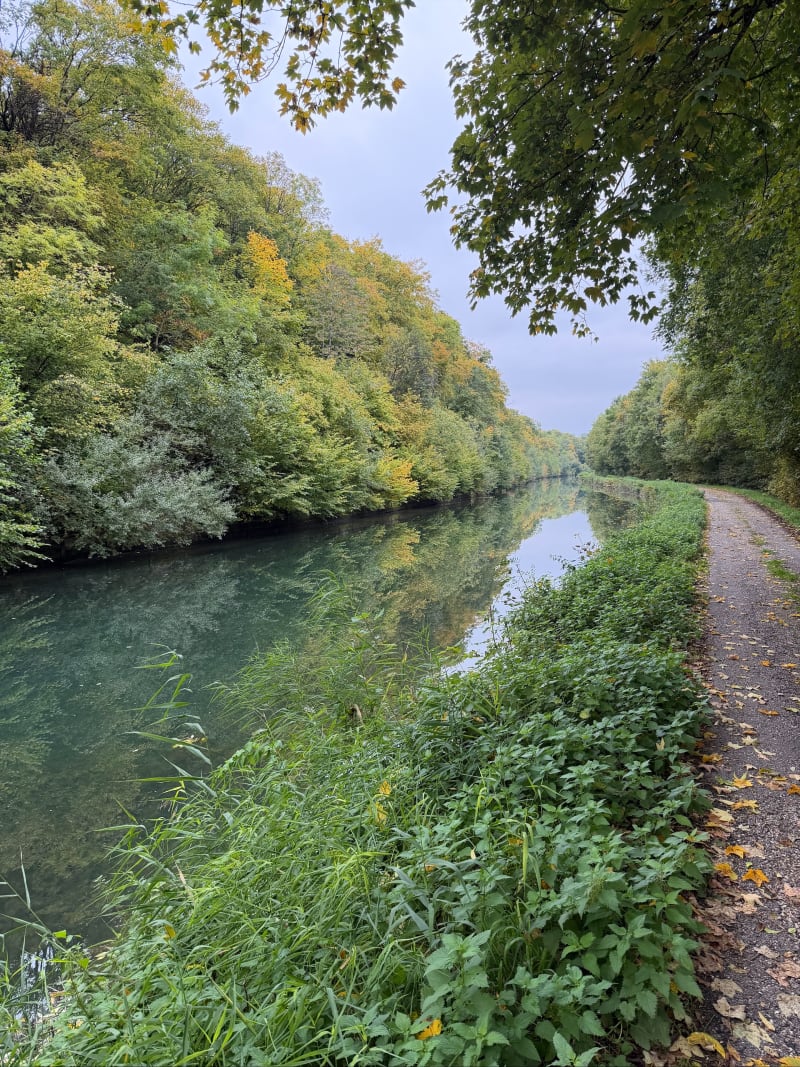 Vélo sur route dans le pays Barrois - Nicey-sur-Aire