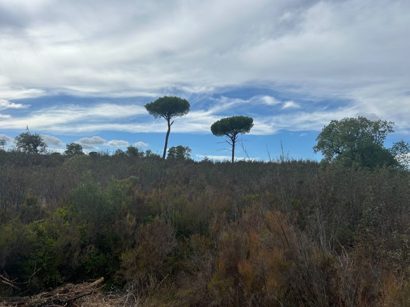Balade du centre de dressage au lac - Roquebrune-sur-Argens