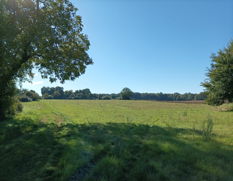 Balade à Brizambourg - Brizambourg