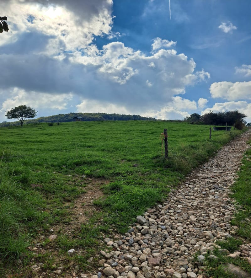Circuit du Grand Bois balisage 25 - Fontanès