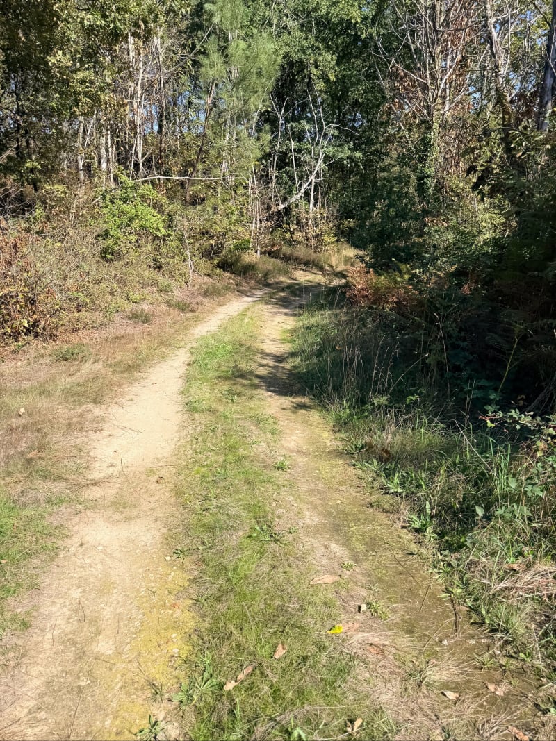 Petite balade en Gyroroue autour de Cercoux - Cercoux