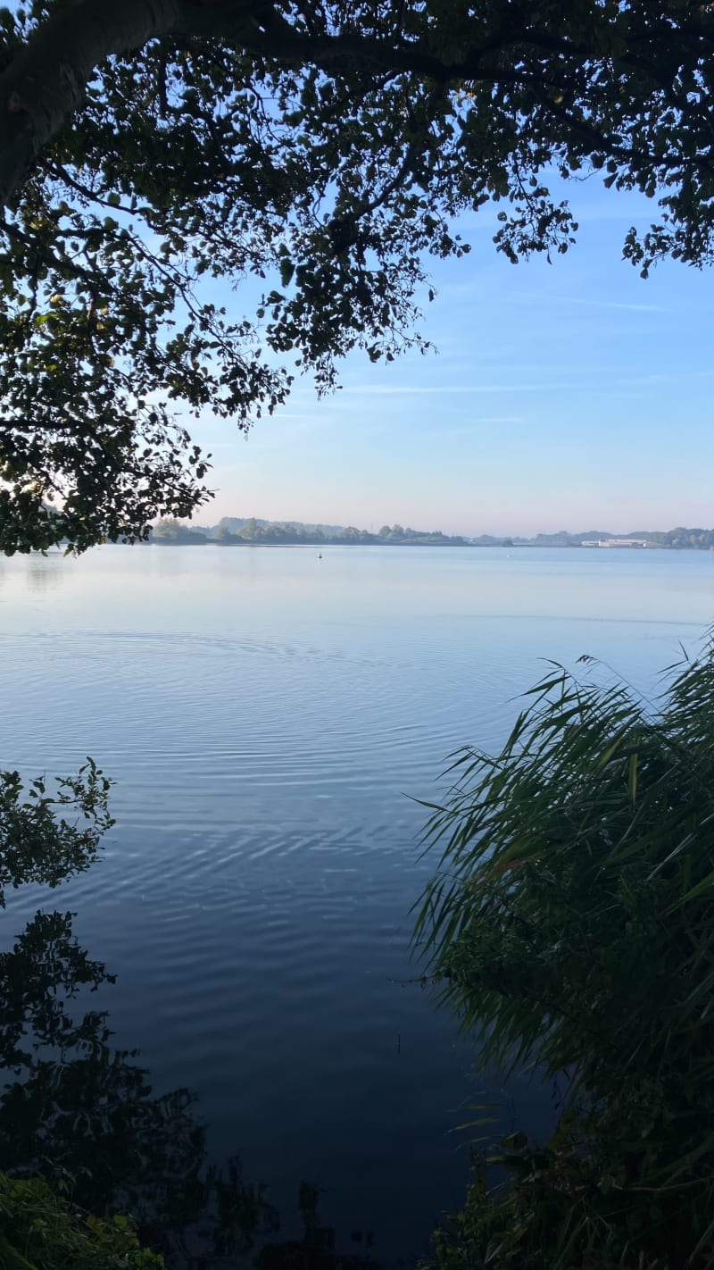 Mtb in Noordtuk - Lisse