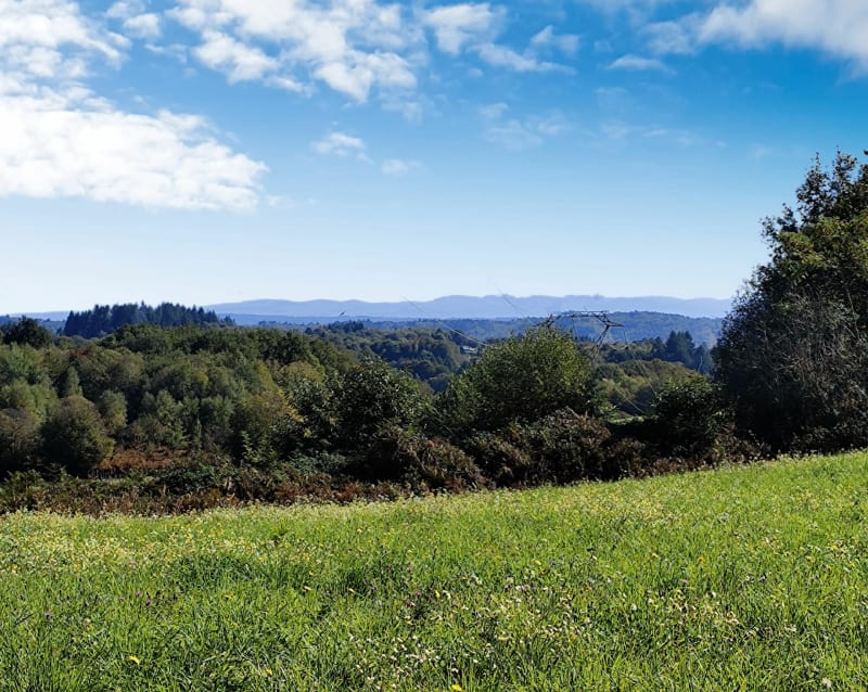 Étang de La Garde et découverte de la campagne - Lagarde-Marc-la-Tour