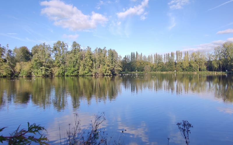 Balade au départ du pont du plan d'eau de Lamballe - Lamballe-Armor