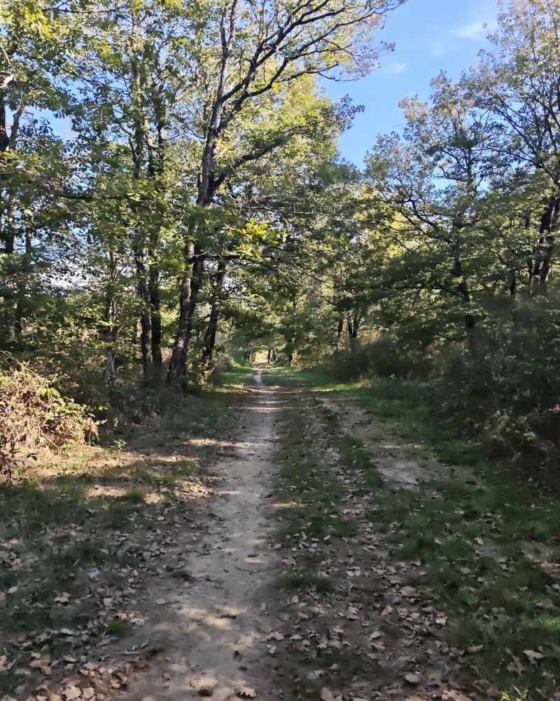 Promenade autour de Lasserre - Lasserre-Pradère